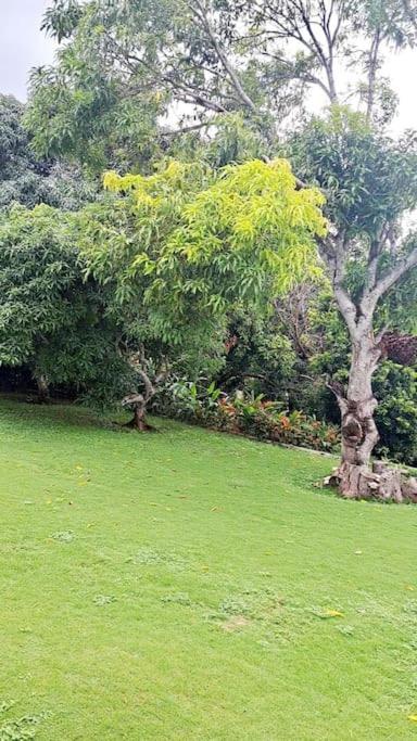 Hillside Retreat * Montego Bay